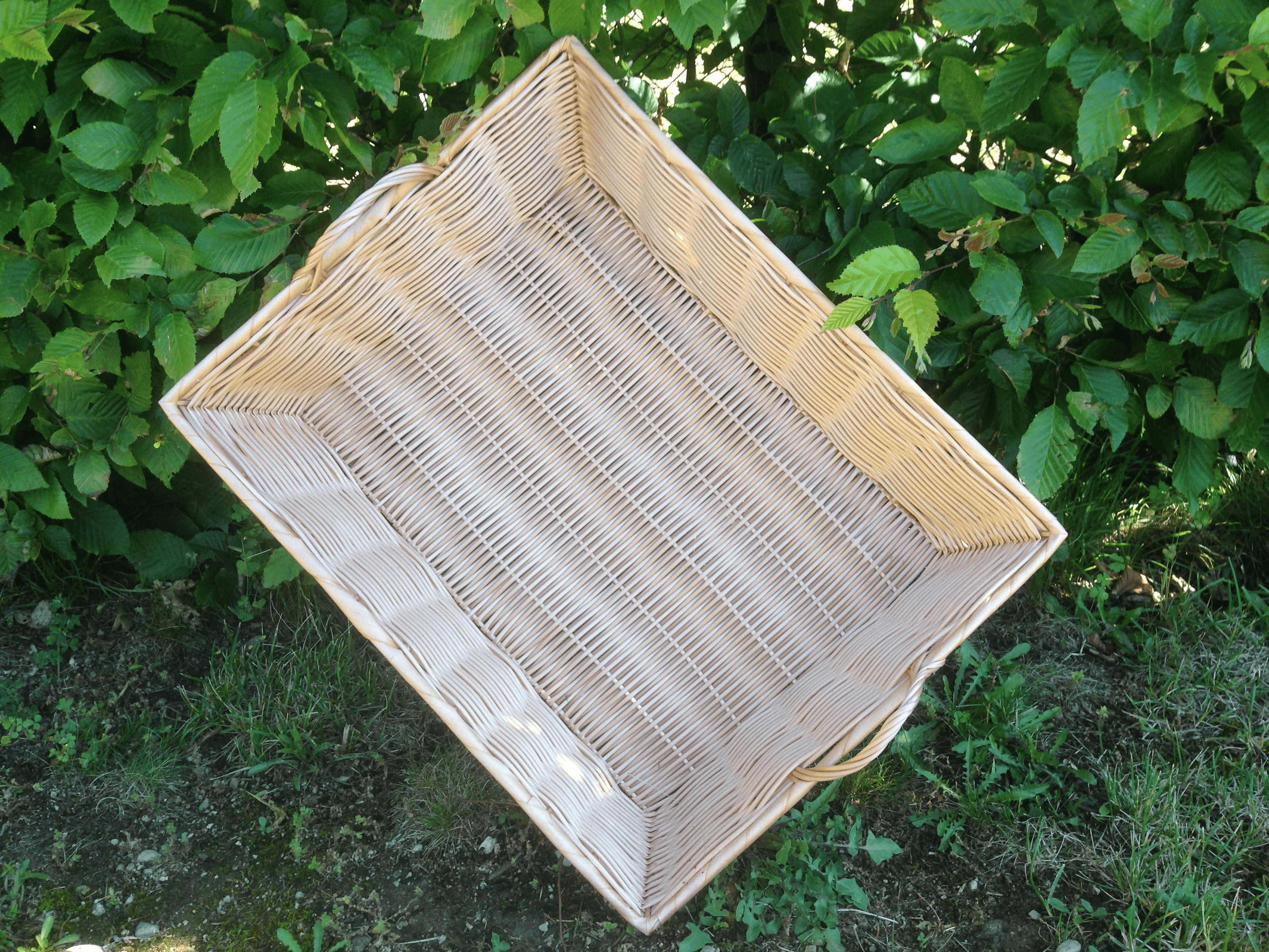 Panier