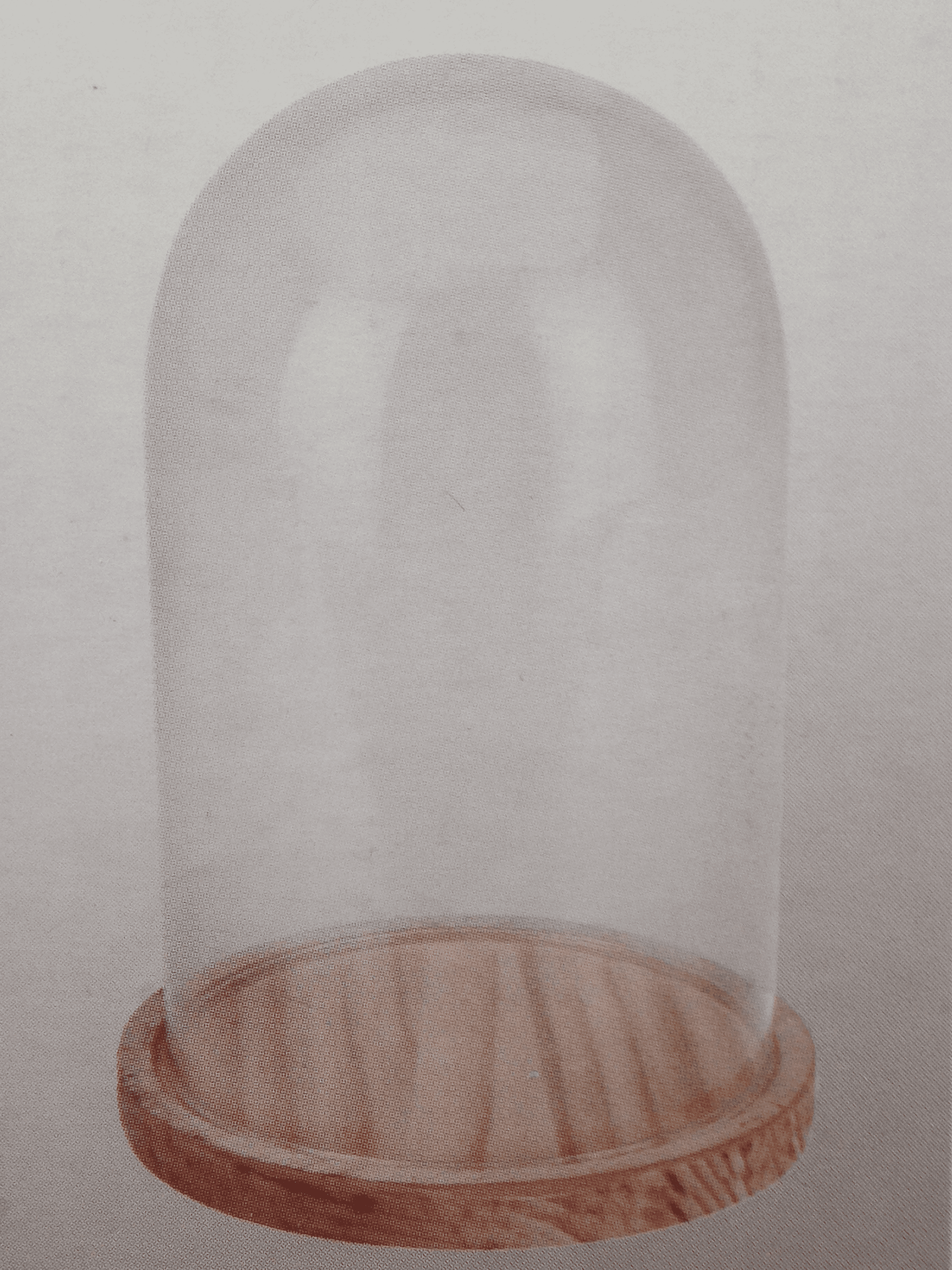 Cloche sur plateau bois 14 x 21 cm