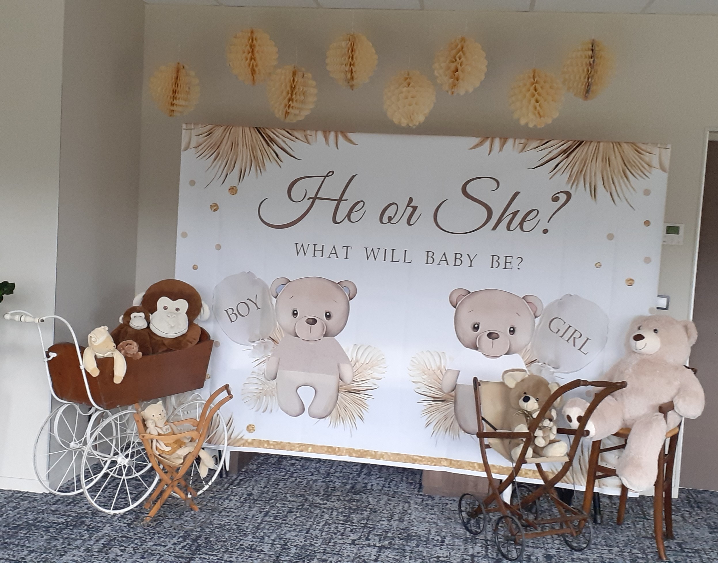 Décor photos