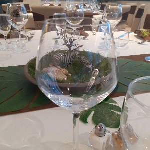 61b20daecdd2f037849598